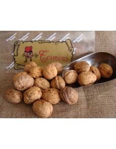 Shelled Catalan Walnuts (big size) bulk kg