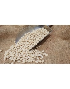 Cacahuete pelado crudo granel (1 kg.)
