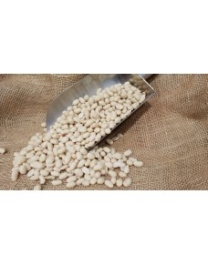 Salted Peeled Jumbo Peanut bulk kg