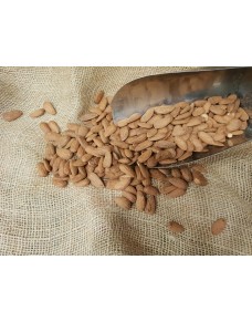 Raw Largueta Almonds s/14mm bulk kg.