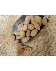  Catalan Almonds in the Shell bulk (1 kg.)