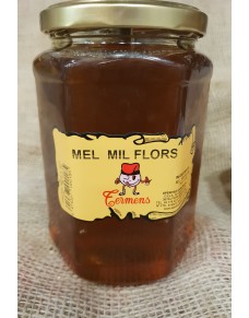 Mixed Flower Honey jar kg.
