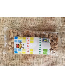 Ecological Toasted Pistachio bag 225gr.